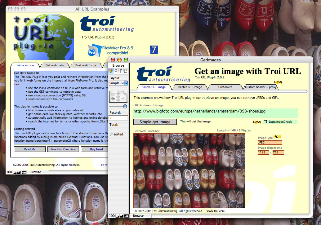 Get an image from the web into FileMaker Pro 9 container