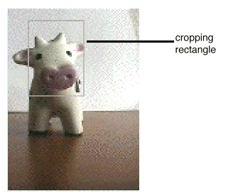 FileMaker Plug-in: Sample Grabber image with cropping rectangle